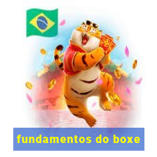 fundamentos do boxe